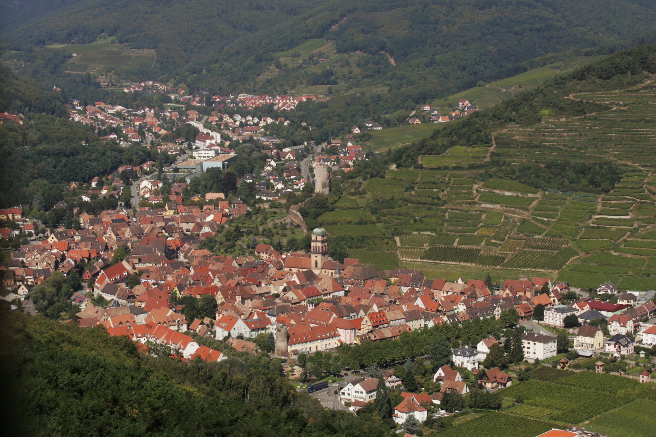 Kaysersberg Vignoble